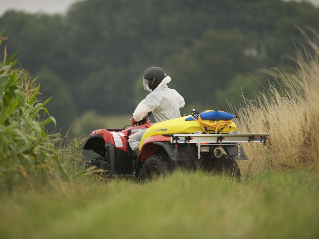Фото квадроцикла Suzuki LT-A500XP KingQuad